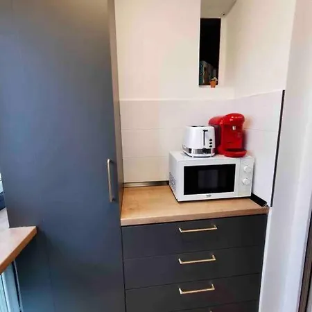 Lovely 3-bedroom In The Center Apartmán Temešvár