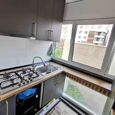 Lovely 3-bedroom In The Center Timişoara