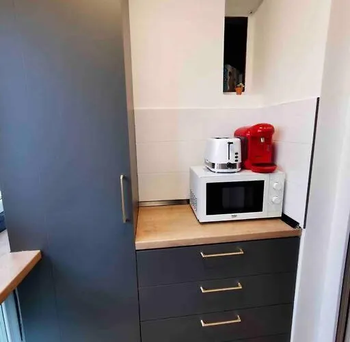 Lovely 3-bedroom In The Center Apartment Timişoara