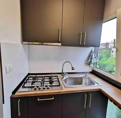 Lovely 3-bedroom In The Center Timişoara