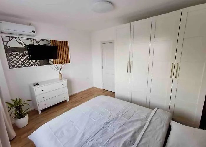 Lovely 3-bedroom In The Center Apartment Timişoara