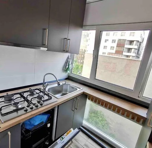Lovely 3-bedroom In The Center Timişoara